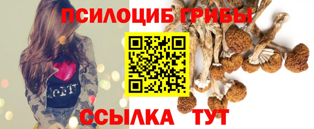 Галлюциногенные грибы мухоморы  Вход с VPN  Красногорск  цены наркотик  Псилоцибиновые грибы Magic Shrooms 