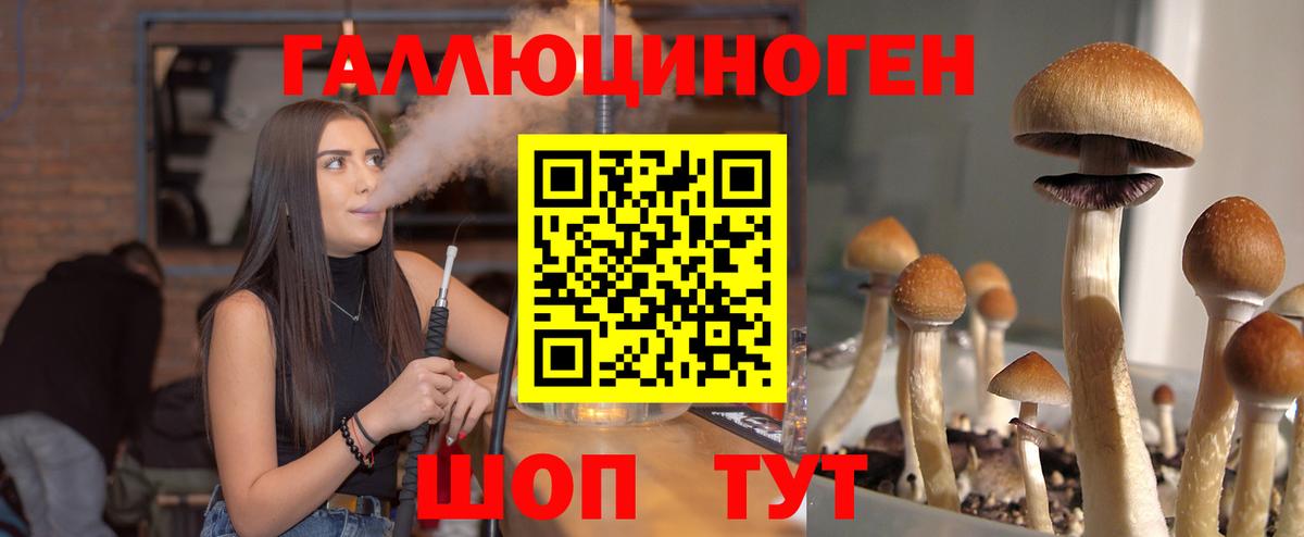ГАШ Красногорск